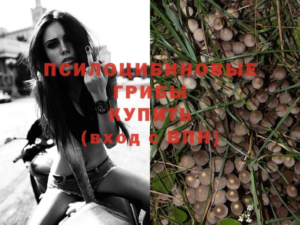 гидропоника Балабаново