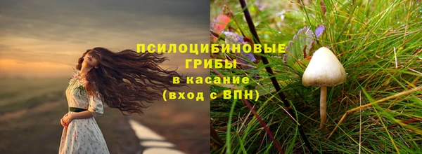 мдма Приозерск
